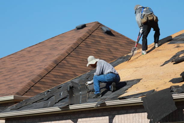 Best Roof Moss and Algae Removal  in Glen Allen, VA